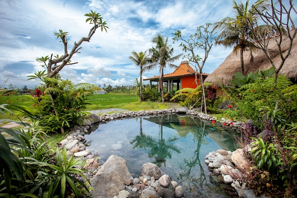 2 kolam renang outdoor, dengan payung kolam renang dan kursi berjemur