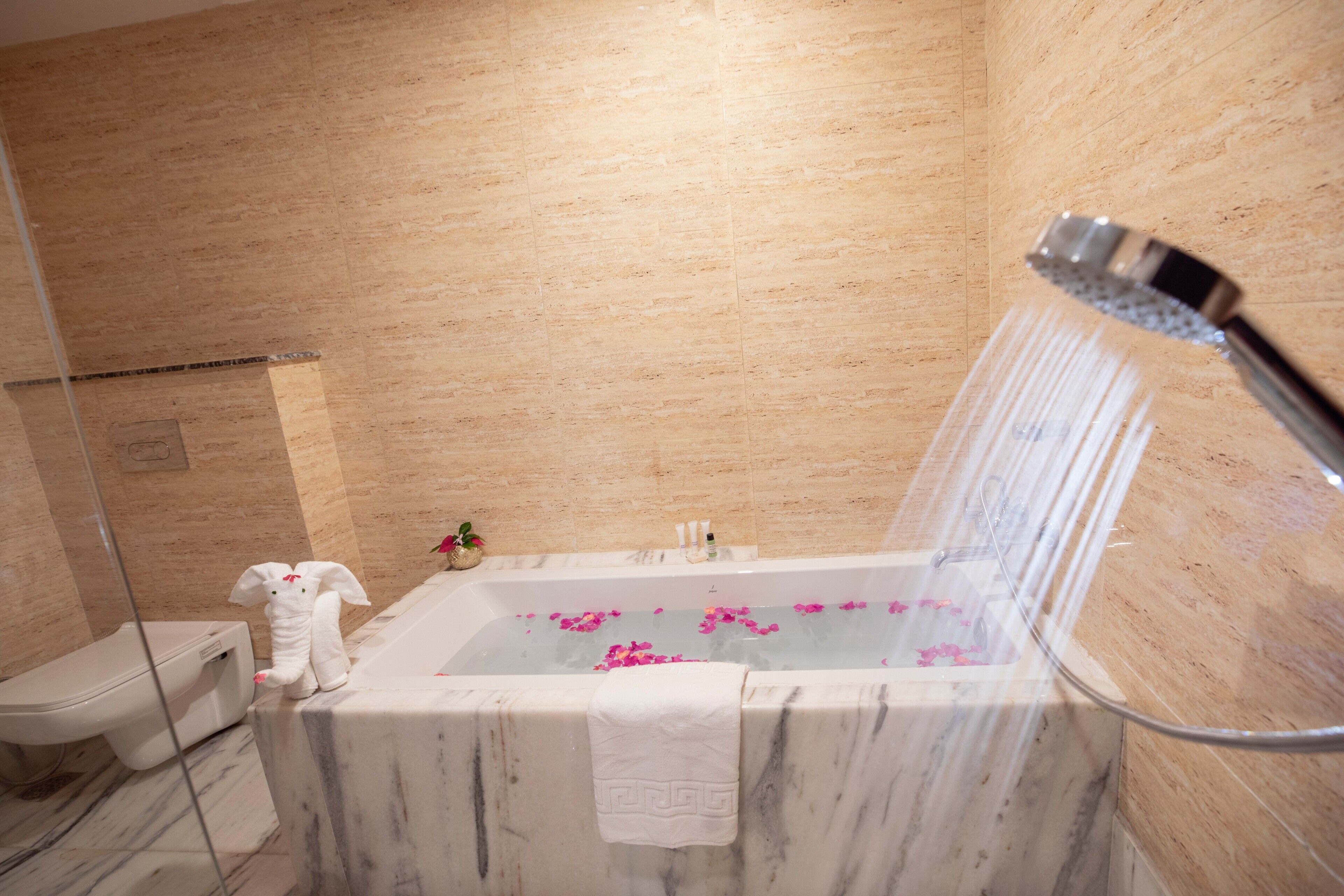 Shower, rainfall showerhead, free toiletries, hair dryer