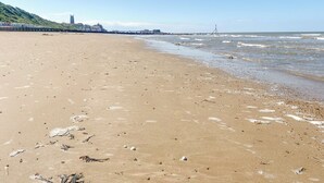 Uma extensa praia de areia com ondas suaves, um cais ao longe e uma colina com edifícios.