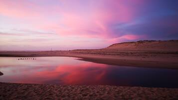 On the beach, sun-loungers