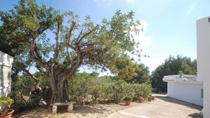A courtyard with a large tree, potted plants, and a bench. - The Great Luxury Villa Villa of Atenea (Cautivador)