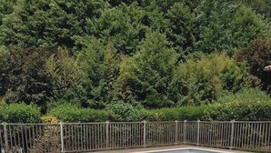 Ein rechteckiger Pool mit einer Holzterrasse und einem Metallzaun.
