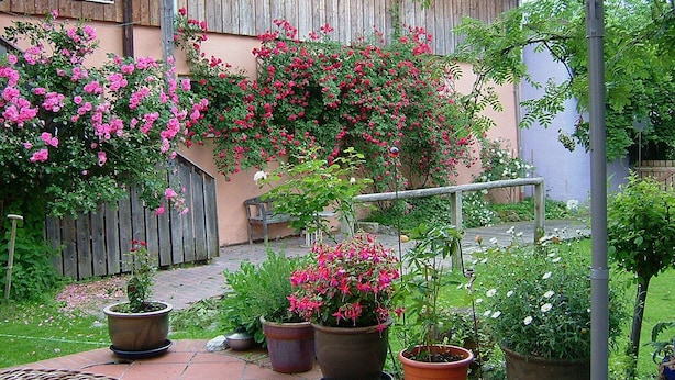 Ein rustikales Holzhaus mit Garten, der mit Kübelpflanzen und blühenden Blumen gestaltet ist.