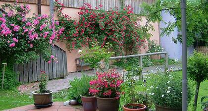 Gemütliche Wohnung Rosenstiege