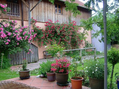 Vacation idyll "Apartment Rosenstiege" on an old farm - peace, charm, nature