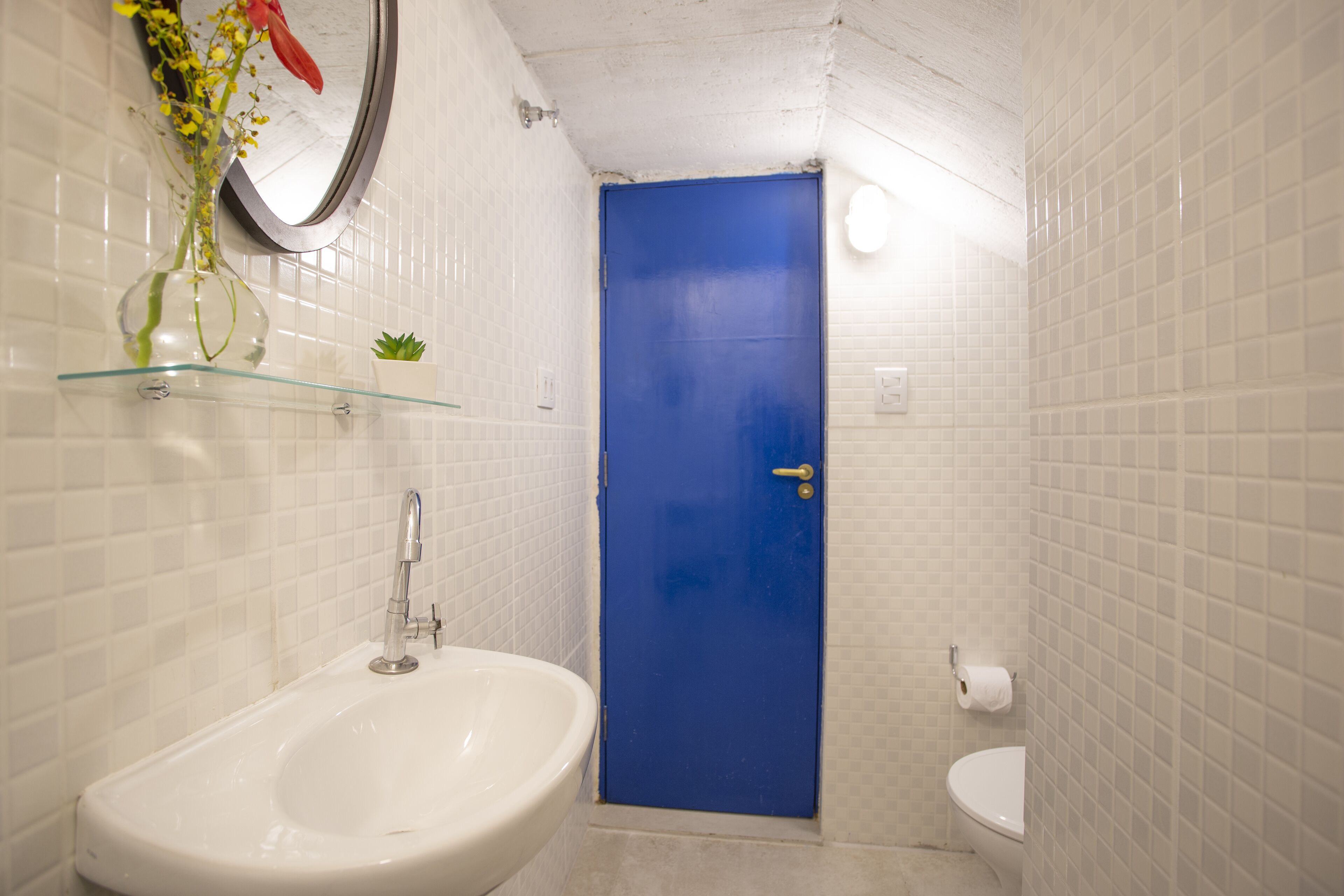A bathroom with a white sink, blue door, and a small potted plant on a glass shelf.