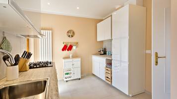 Fridge, oven, stovetop, dishwasher