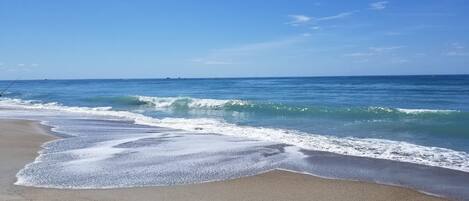 Plage à proximité, chaises longues, serviettes de plage