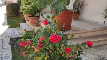 Details aan de buitenkant