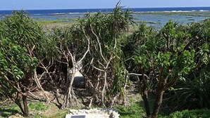 A stone staircase leading to a coastal area with lush greenery and a view of the ocean. - Ocean Villa Tokunoshima (Tokunoshima)