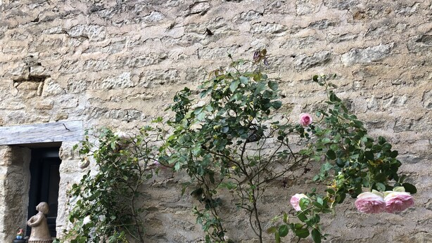 A stone wall with a small window and a climbing plant with pink flowers.