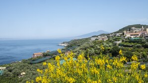 Une ville côtière avec des bâtiments construits sur une colline, d’où l’on a une vue sur la mer.