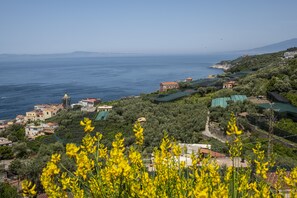 A coastal town with buildings, a church, and a view of the sea.