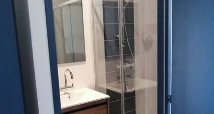 Pleasant renovated studio