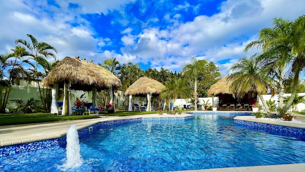 A swimming pool with a mosaic tile border, surrounded by palm trees and thatched-roof structures.