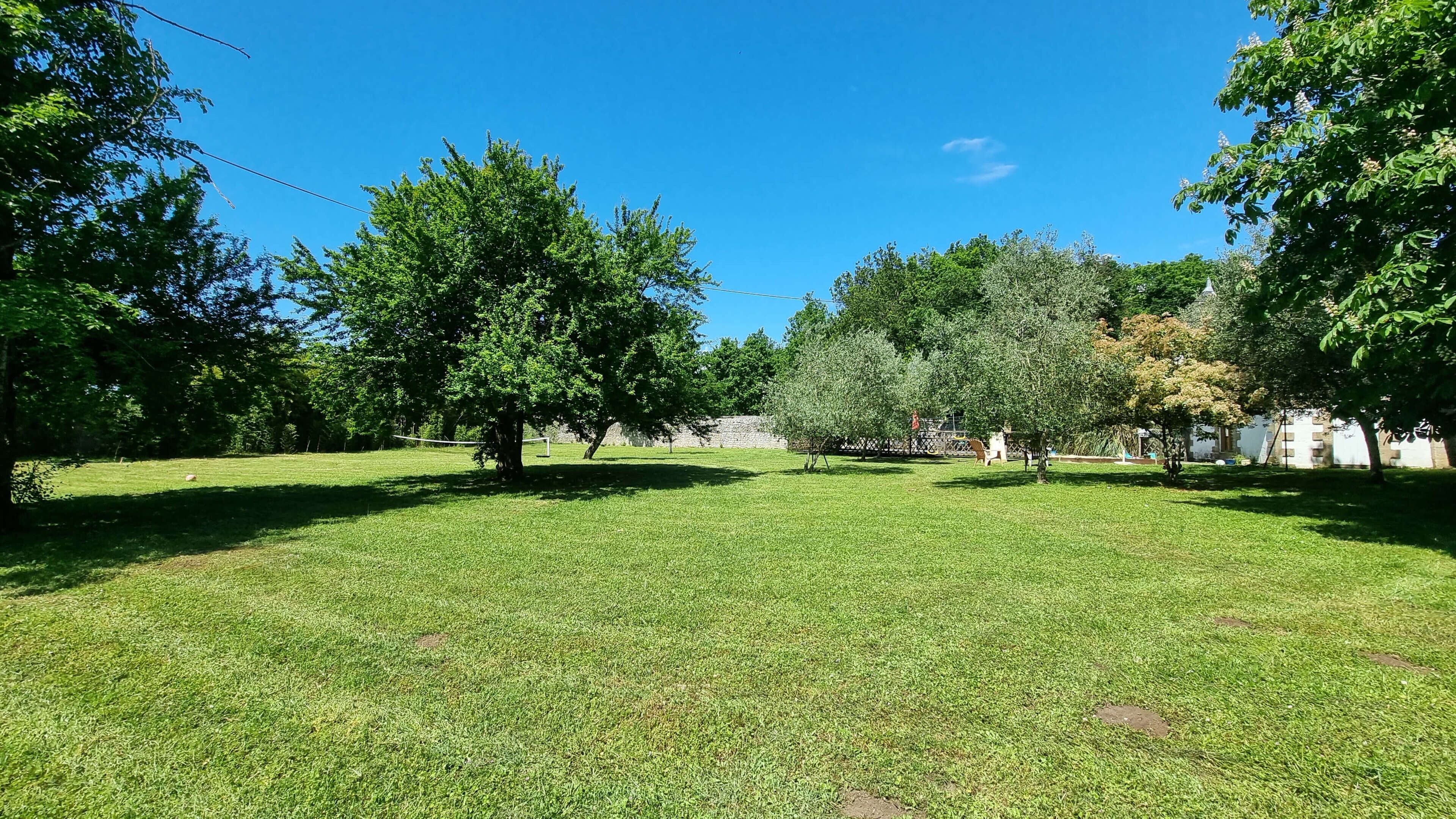 A grassy outdoor area with trees and a stone wall in the background.