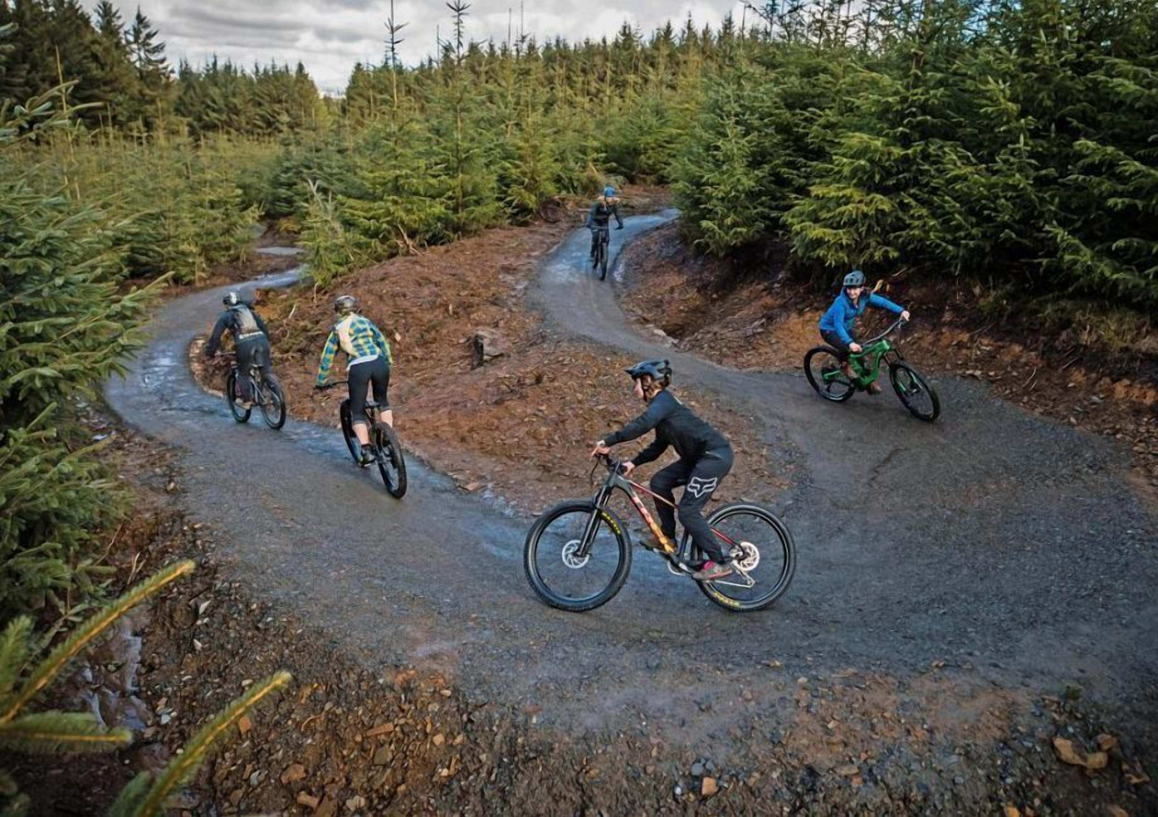 Un grupo de ciclistas en una carretera sinuosa de montaña rodeada de denso bosque.