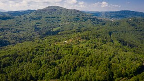 Vue aérienne