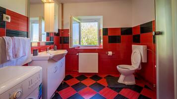 Shower, hair dryer, bidet, towels