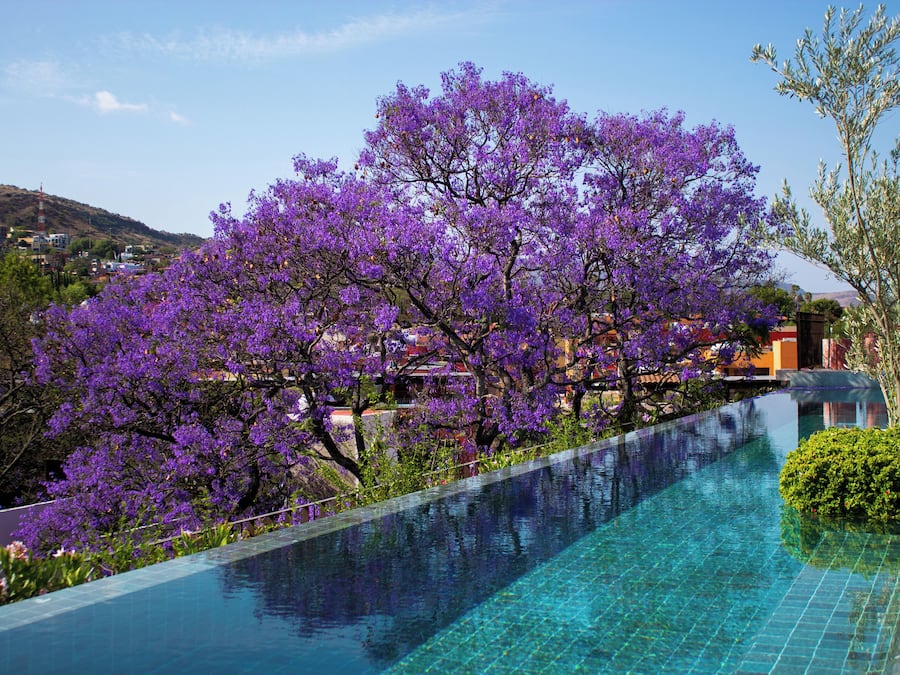 Außenpool, Cabañas (kostenlos)