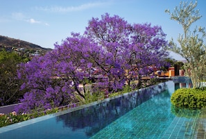 Outdoor pool, free cabanas