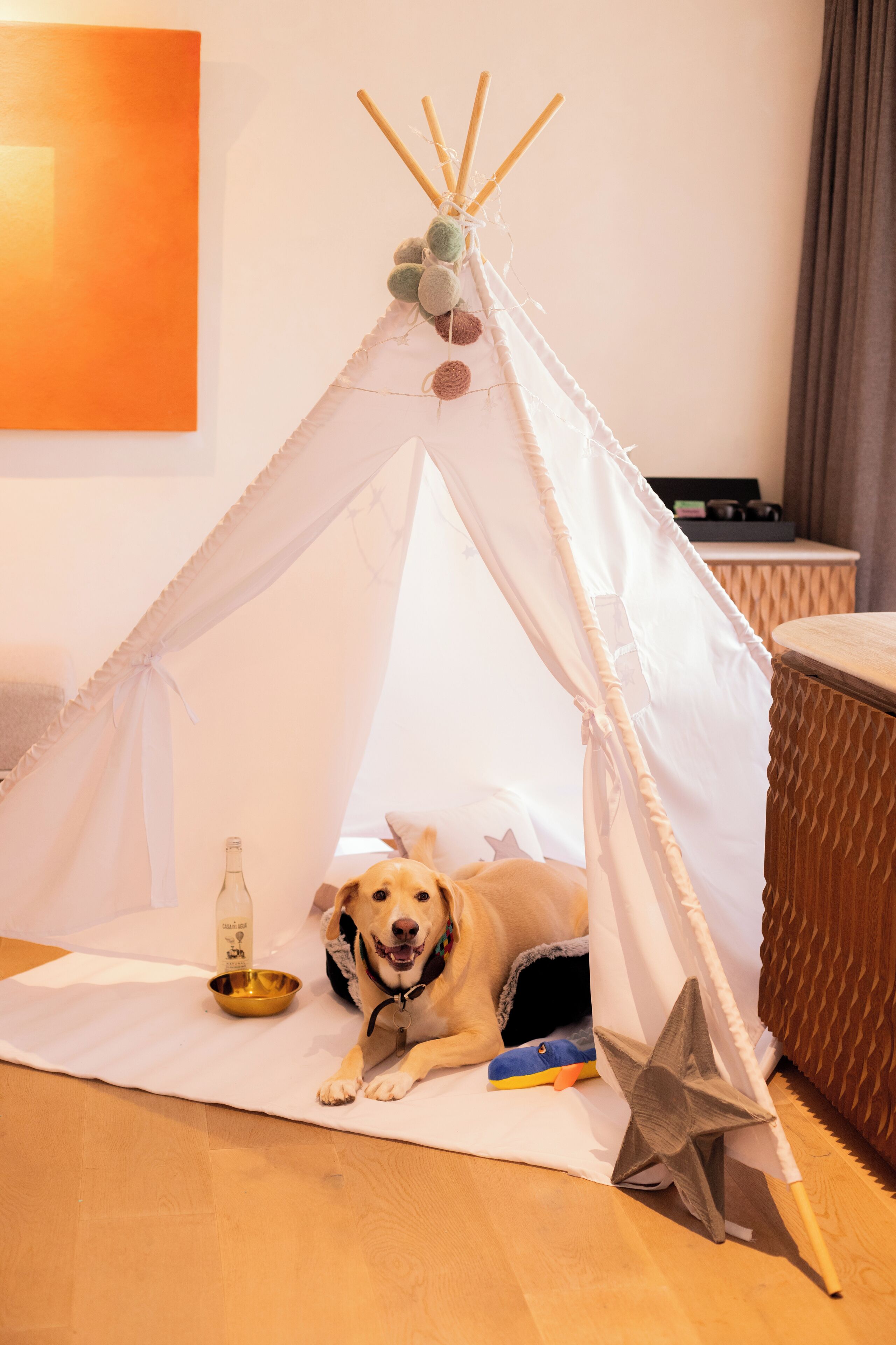 A dog resting inside a white teepee tent with a star decoration on the floor.