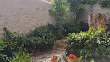 Suite Studio Luxe (Zeus) | Vue sur le jardin