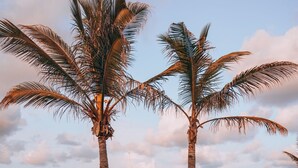 A pool with two palm trees and a view of boats on the water. - Hamilton Princess - Fairmont Gold Experience (Pembroke Parish)