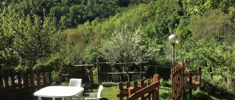 House | Property grounds