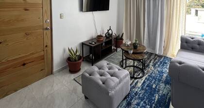 Eclectic and Cozy APT In El Paraiso Cabrera - 2 Min From Downtown