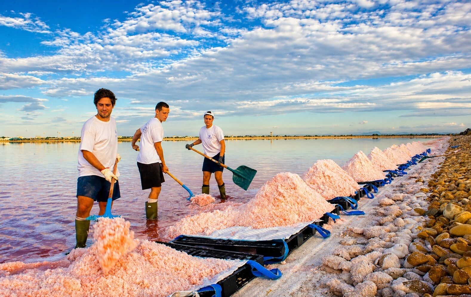 Trois personnes travaillent à proximité d’une étendue d’eau, à côté de tas de sel rose et d’un système de convoyeurs.