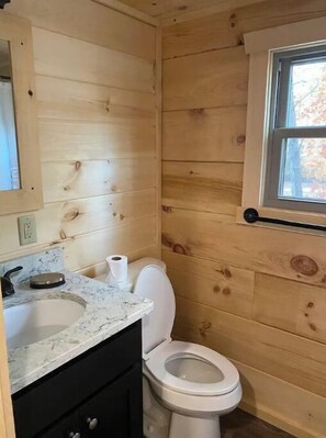 Shower, towels, toilet paper