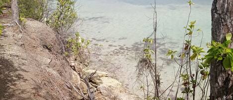 بالقرب من الشاطئ