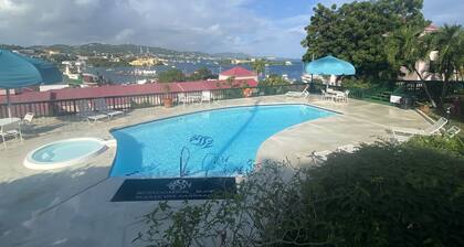This Gorgeous Oceanview Condo is the Perfect Caribbean Retreat!