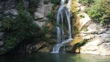 Ein Wasserfall stürzt in ein klares Becken, umgeben von felsigem Gelände und Grünpflanzen.
