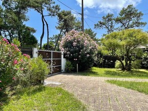 A paved driveway leading to a gated entrance with a flowering bush and trees in the background. - Central Cap Ferret location, all on foot A0342 (Cap Ferret)