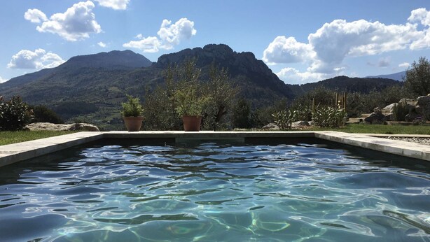 Une piscine aux eaux cristallines offrant une vue sur les montagnes, entourée de plantes en pot et de rochers.
