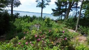 Ein Garten mit verschiedenen Pflanzen und Blumen, einem Kiesweg und Blick aufs Wasser.