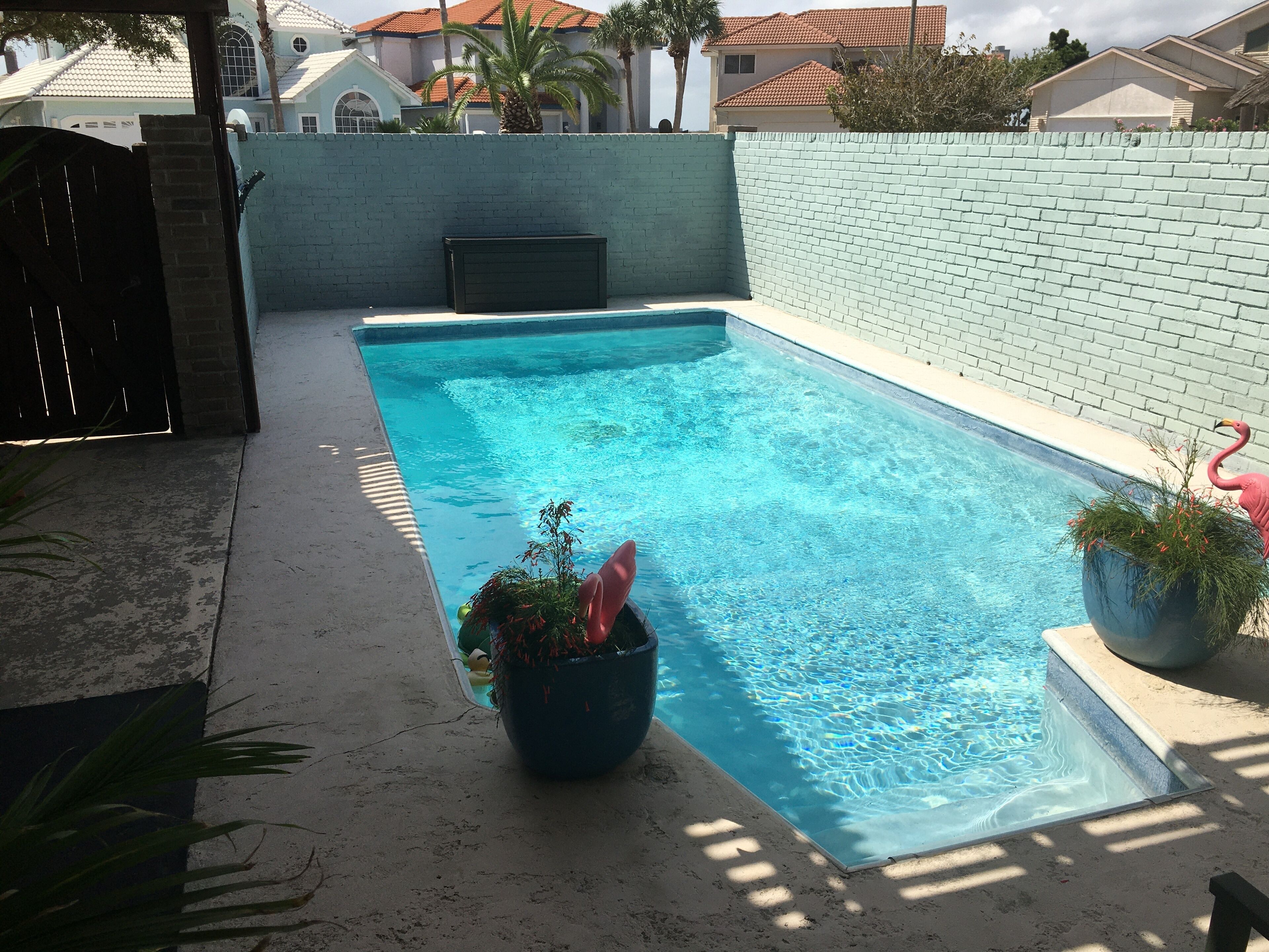 Ein rechteckiger Swimmingpool mit klarem, blauem Wasser, umgeben von einer hellen Ziegelmauer. Am Poolrand befinden sich zwei Kübelpflanzen mit grünem Laub und rosa Blüten.