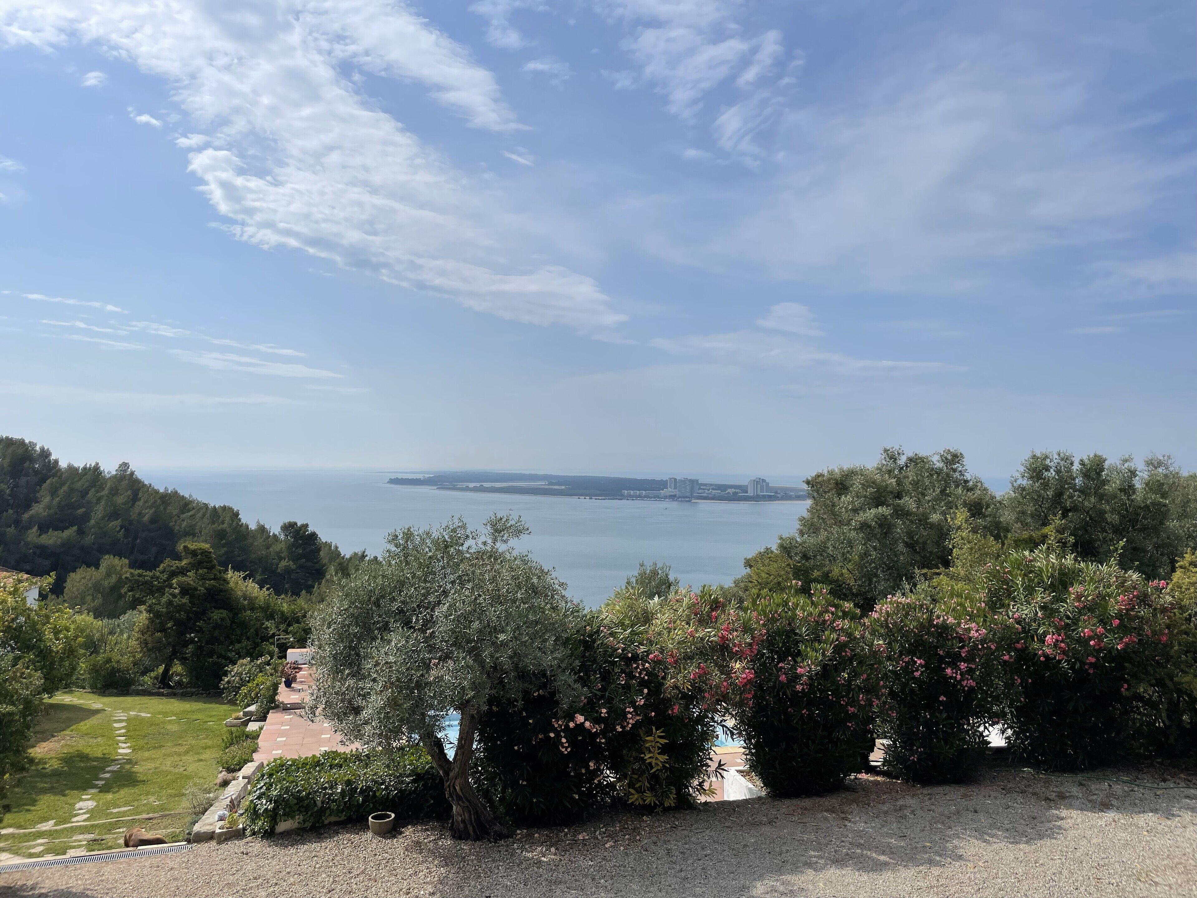 A coastal landscape with a view of the sea and distant buildings, surrounded by lush greenery and a gravel path.