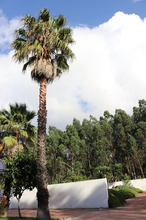 Property grounds - Villa with garden and swimming pool surrounded by nature and close to the beach (Salir do Porto)