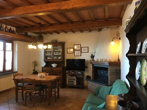 TV, fireplace, books