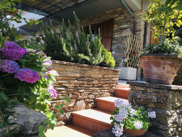 A stone staircase leading to a wooden door, surrounded by potted plants and flowers.