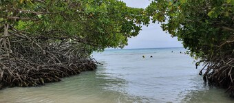 Cozy Home Under the Sun, With Swimmingpool