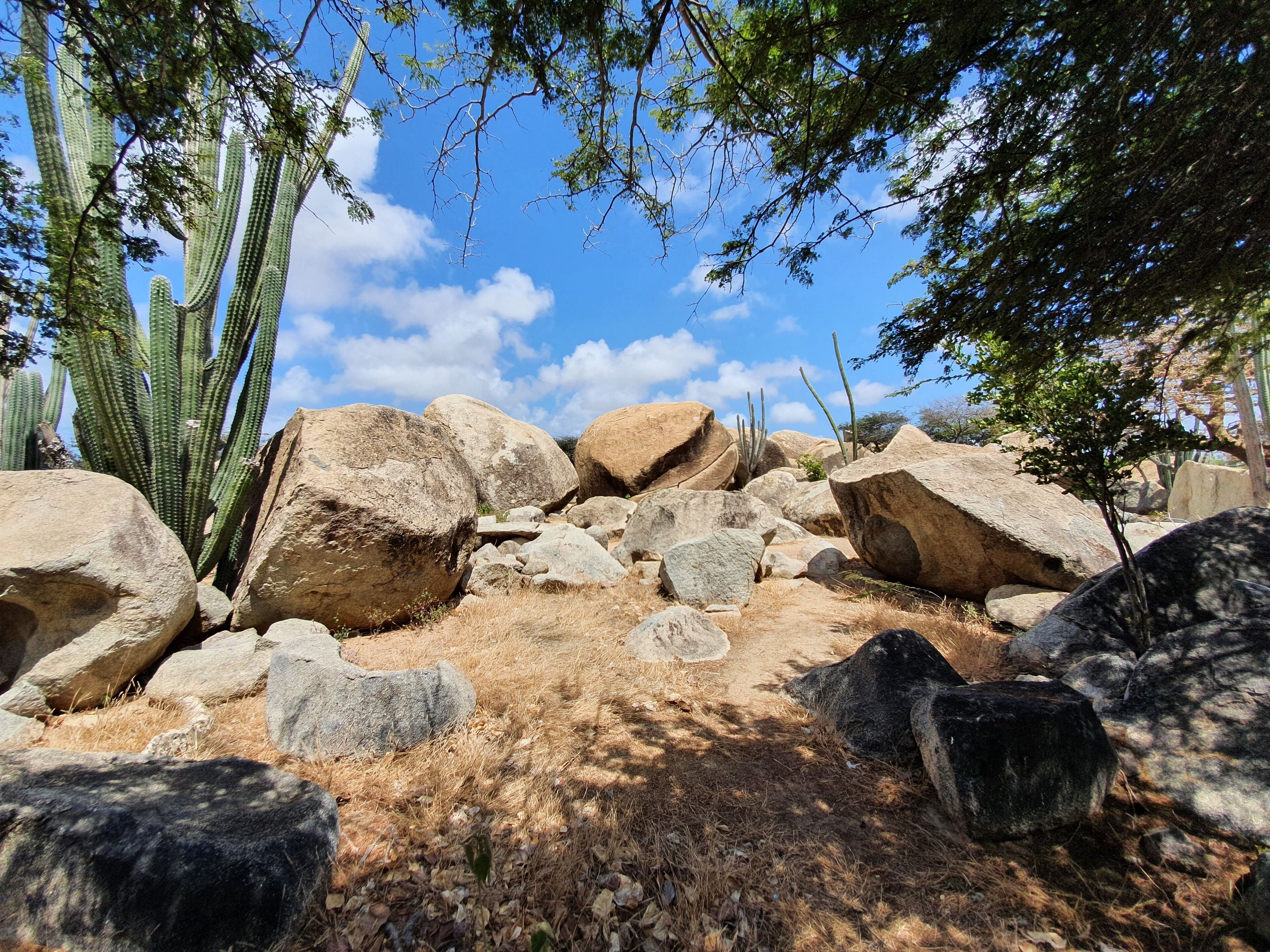 A rocky outdoor area with large boulders and cacti.