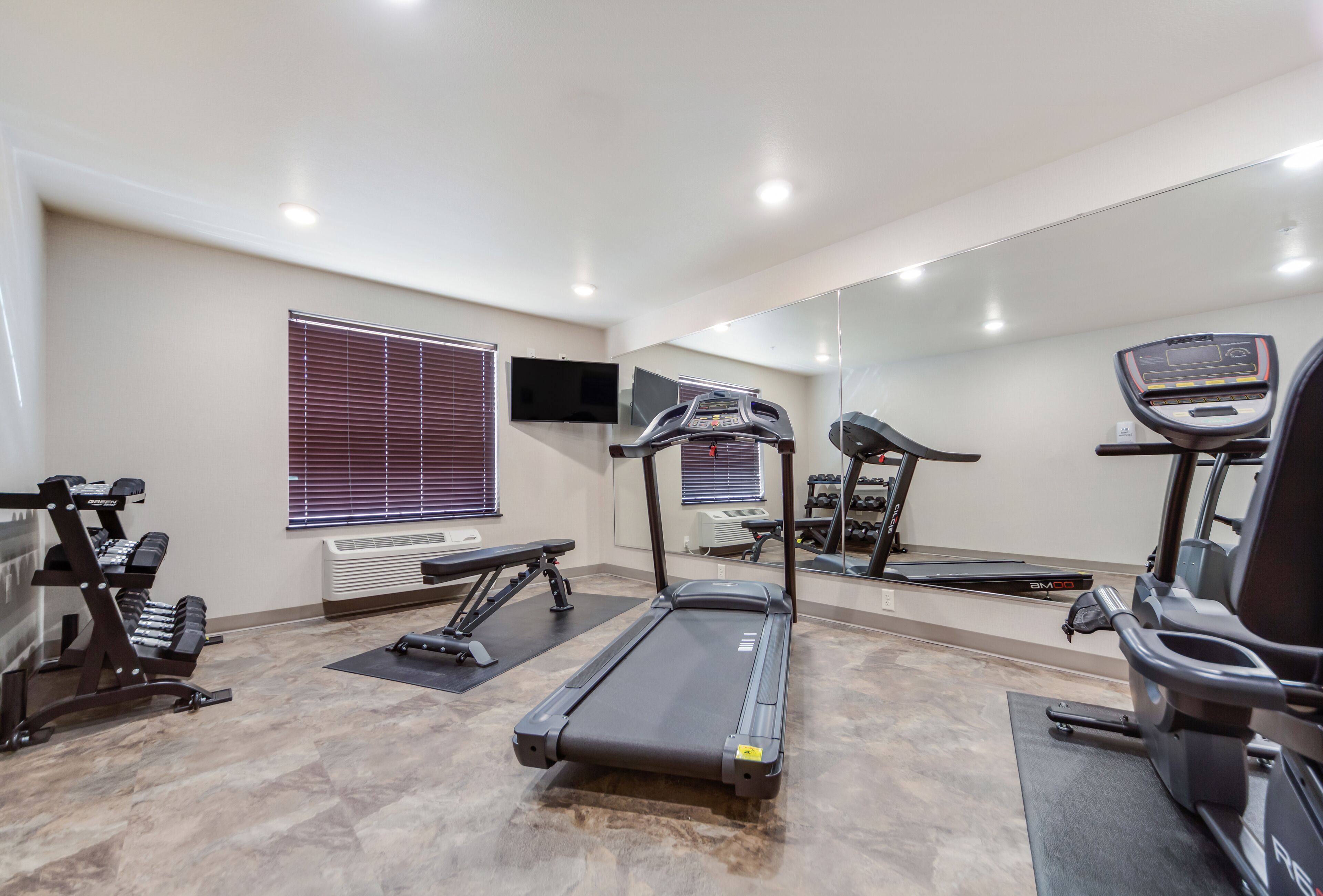 A gym with treadmills, weight machines, and a large mirror.