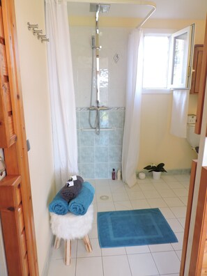 Shower, hair dryer, towels, soap