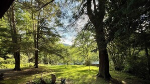 Uma área arborizada com um caminho bem definido, um pequeno espaço aberto com pedras e uma vista distante de um edifício.