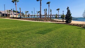 A grassy area with palm trees, a beach, and a pier in the background. - Emerald Coast Stay! (Navarre)