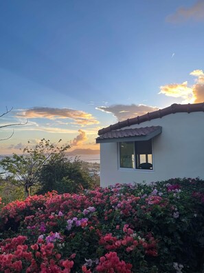 Property grounds - Alexandra Cottage in Cruz Bay (Cruz Bay)